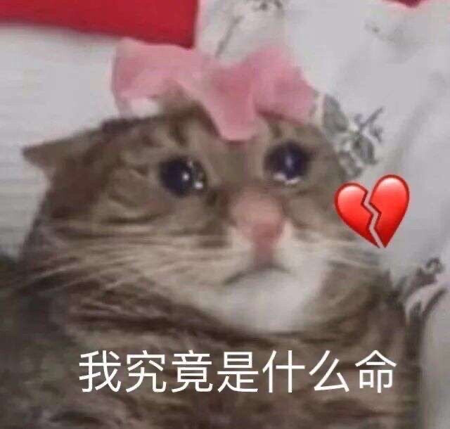 情侣斗图表情包女生专用,斗图表情包大全冬天冷