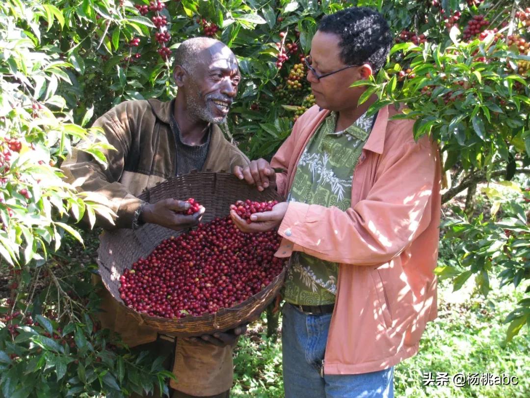 进口零食不甜不腻,不甜又不上火的零食推荐