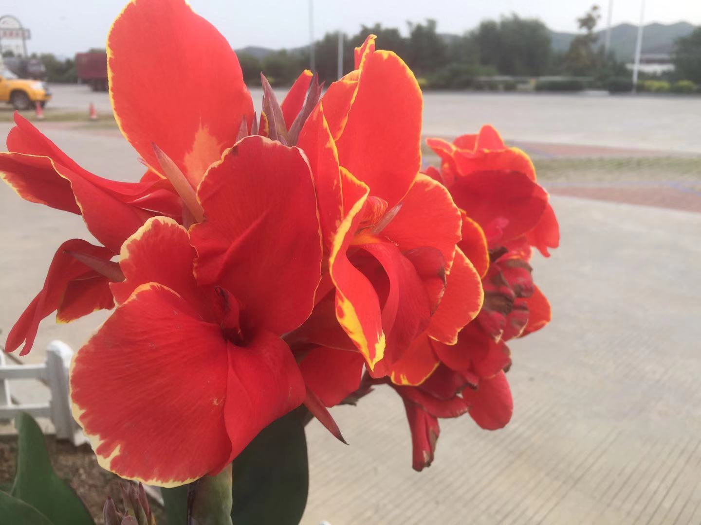 怎样对待朋友的礼物,朋友生日高情商祝福