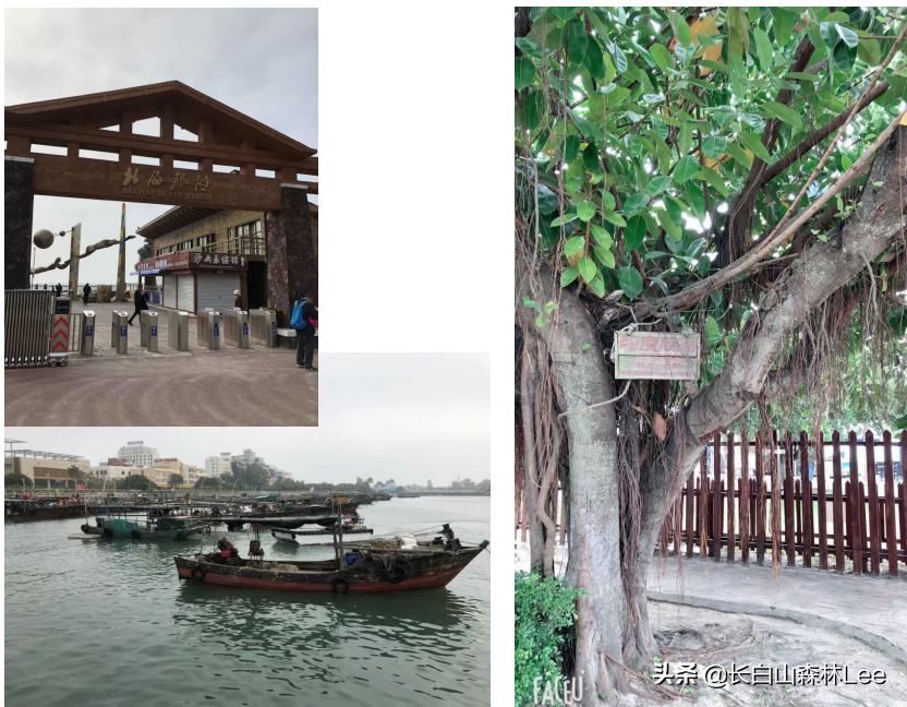 广西越南下龙湾旅游攻略,北海越南下龙湾跨国旅游线路