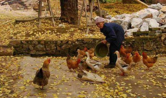 乡土散文我小时候,涂阳斌的乡土散文