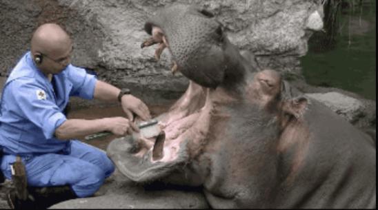 有图有真相有依据,有图有真相眼见为实