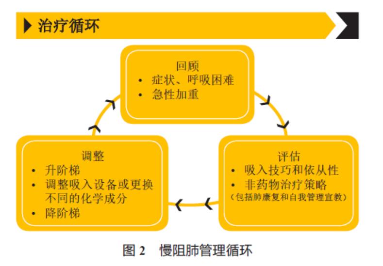 慢性阻塞性肺疾病前沿进展,2019gold慢阻肺指南