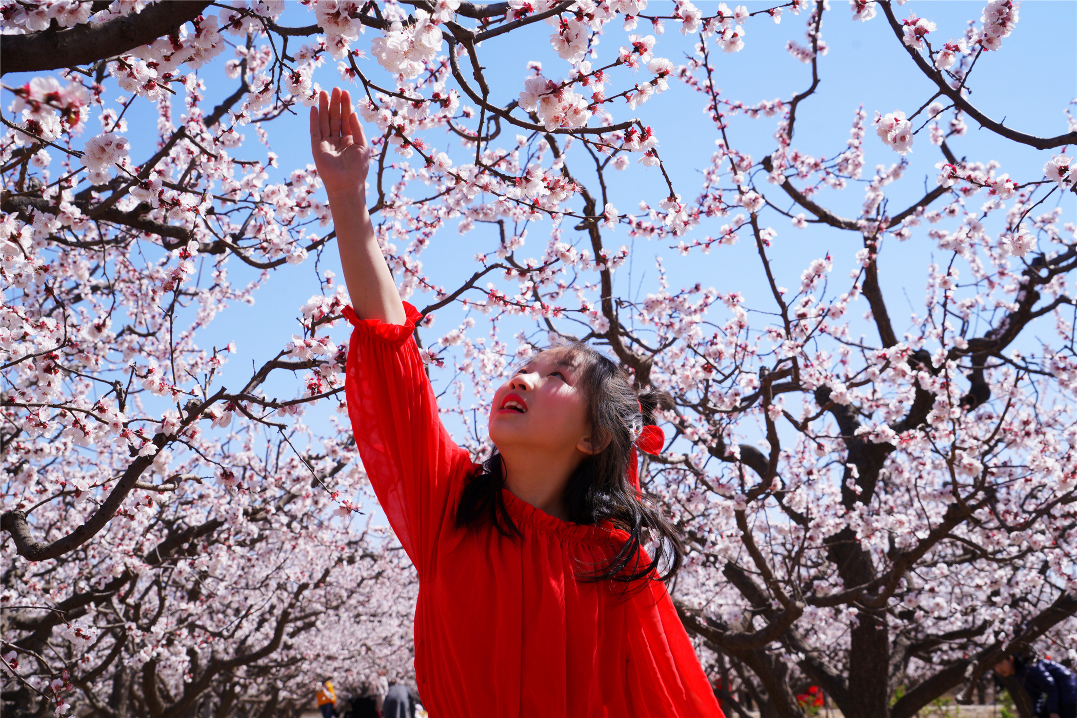 河北这座文旅小城值得一去,河北的一座小县城