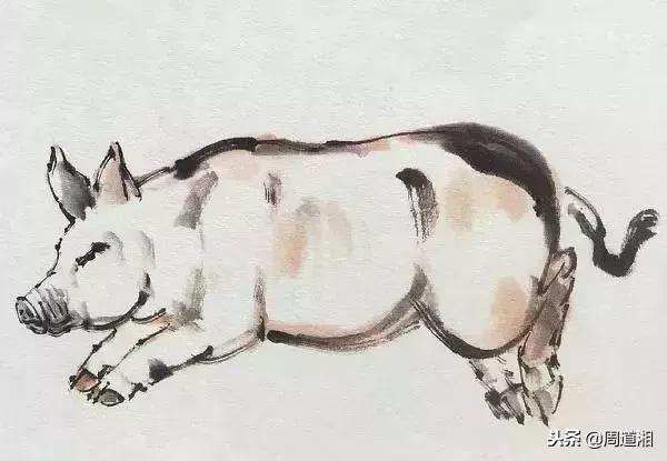 国画工笔猪图片,大写意画猪国画作品