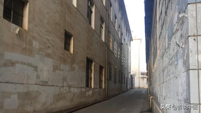 云南一个小县城有位悬壶济世的老中医，医术高明，看病却分文不取