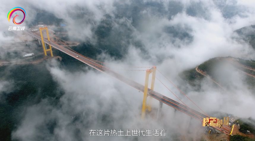 技能报国云南卫视回看,技能报国系列专题片