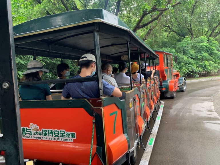 长隆野生动物世界推荐,长隆野生动物园必看动物