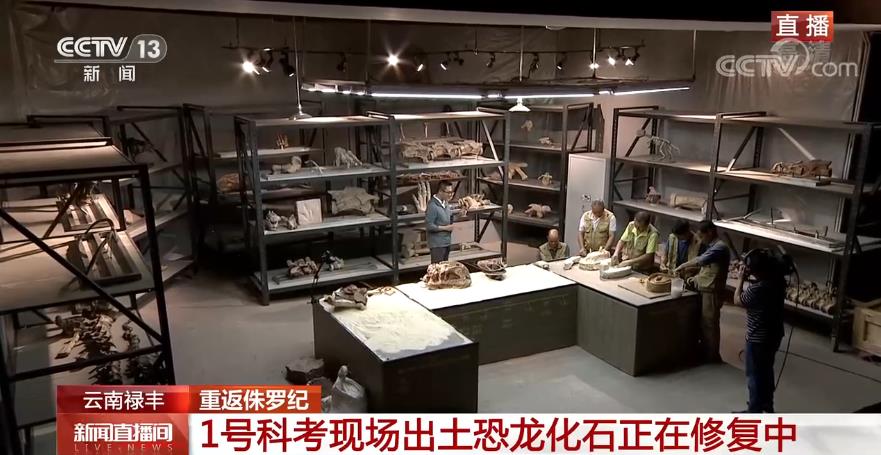 侏罗纪史前动物与人类和平共处,侏罗纪遗留下的动物有哪些