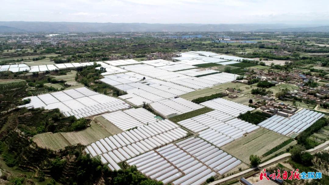 2021年临夏州国民经济发展公报,实现经济逆势上扬开门红