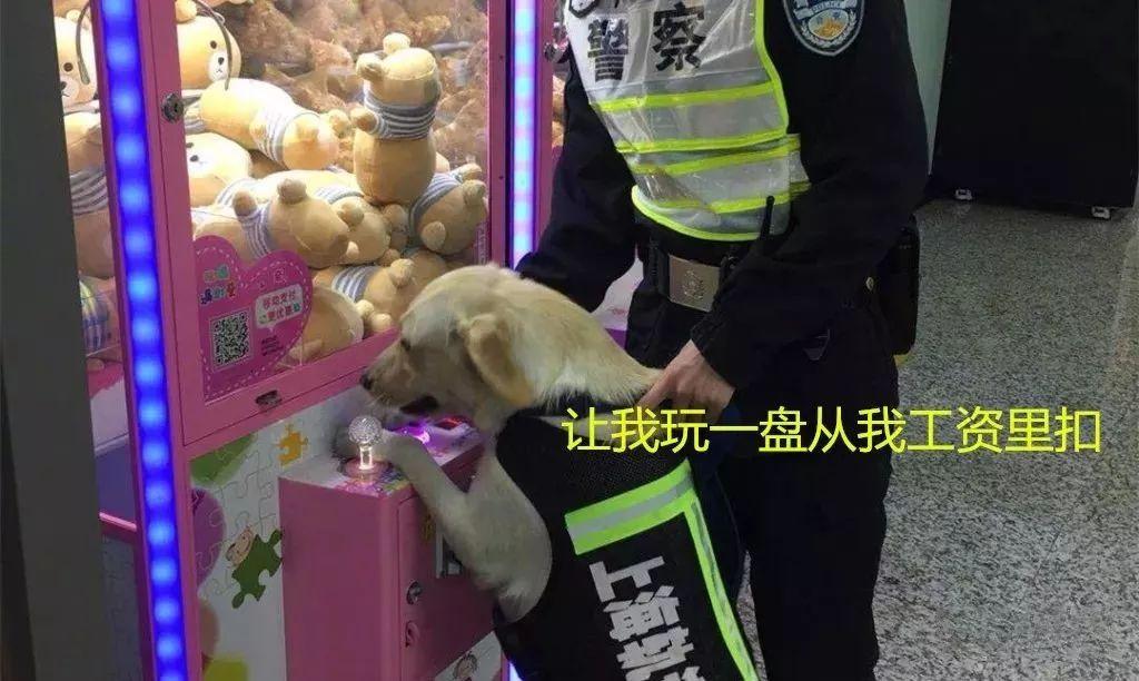 在魔都这家潮牌娃娃机店里，我竟然花了五块钱抓了个AJ