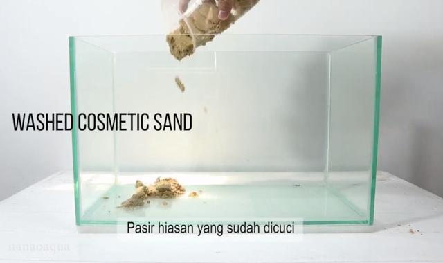 莫斯树到底好不好,莫斯树是什么