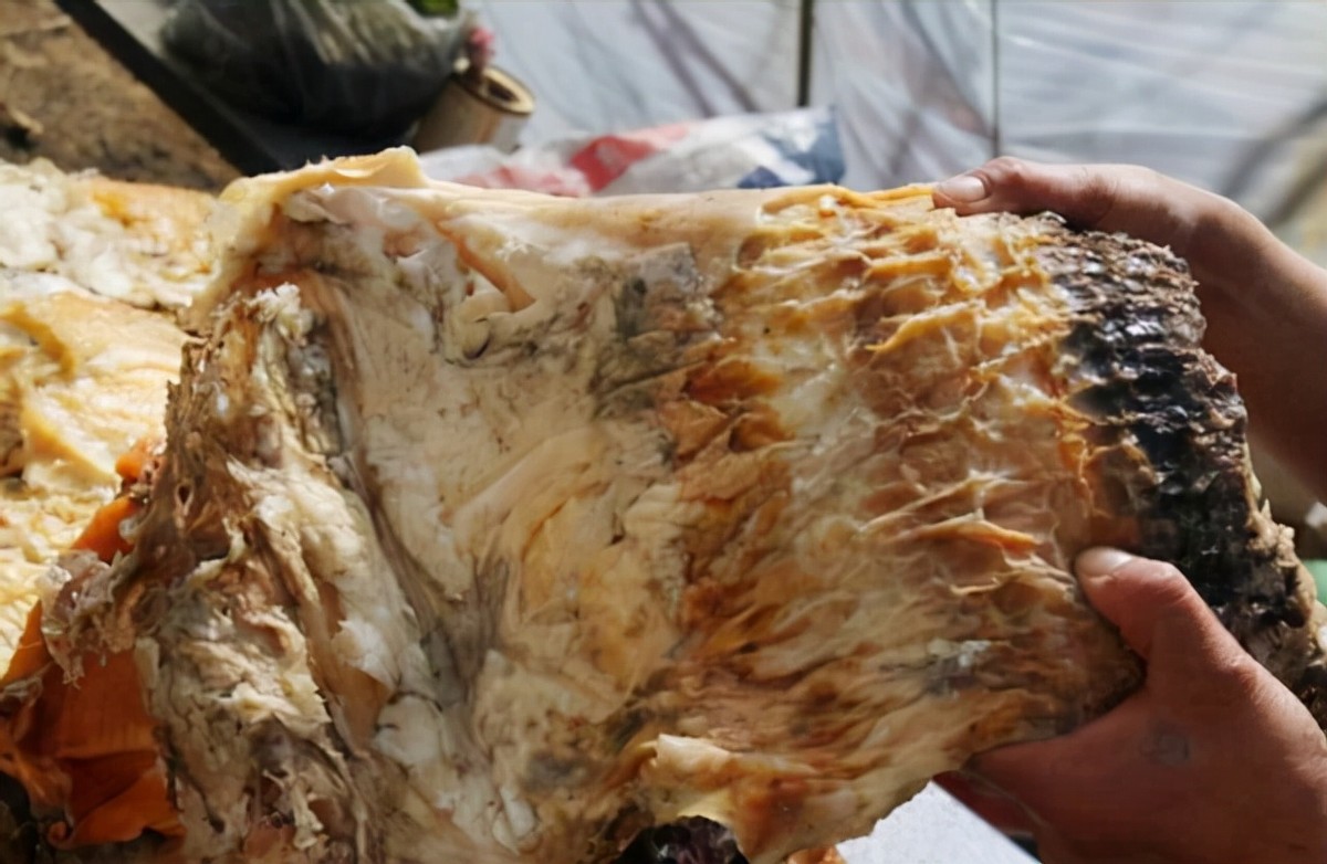 6年前捡到太岁,捡到太岁农民现在过得怎么样了