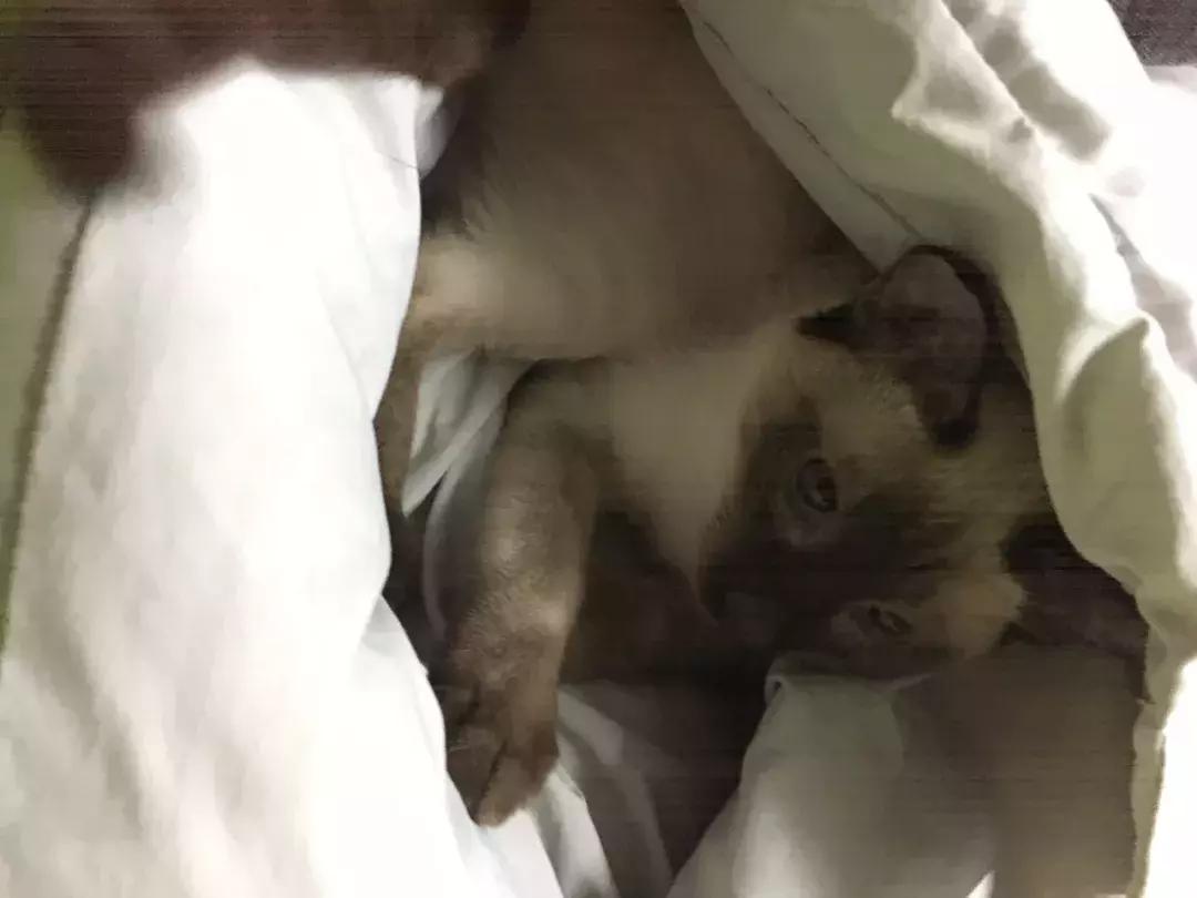 有没有发错微信给老板,错把消息发给老板