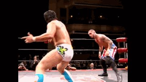 李小龙被丑化,李小龙打wwe能打冠军吗