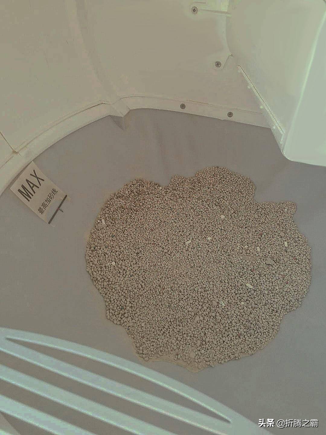 猫有必要买全自动猫砂盆吗,猫自动猫砂盆有必要买吗