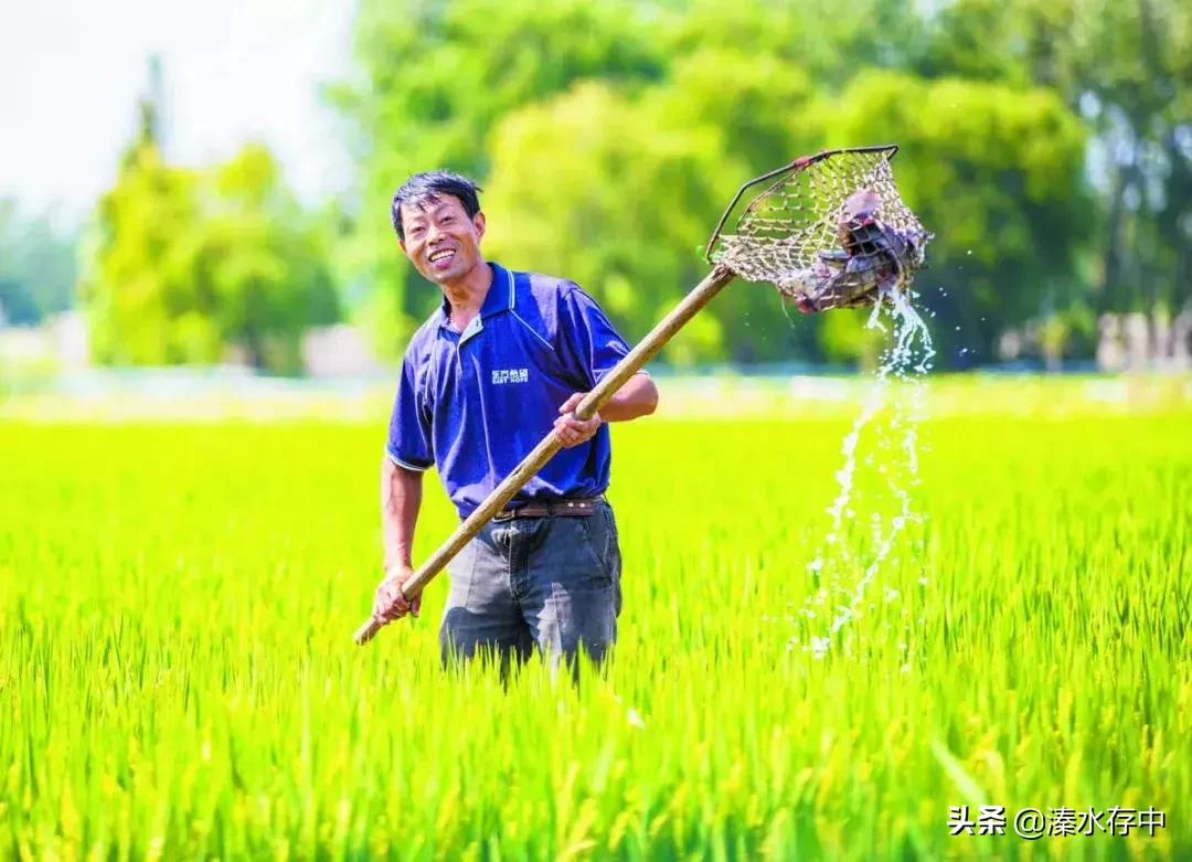 姜堰好吃又好玩的地方,56张美景图片大饱眼福