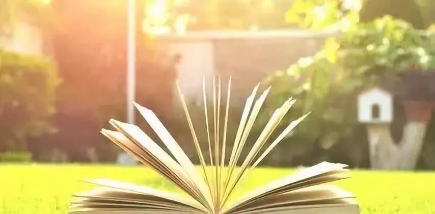 讨厌一个女人又要和她相处怎么办,如何学会和讨厌的人合作