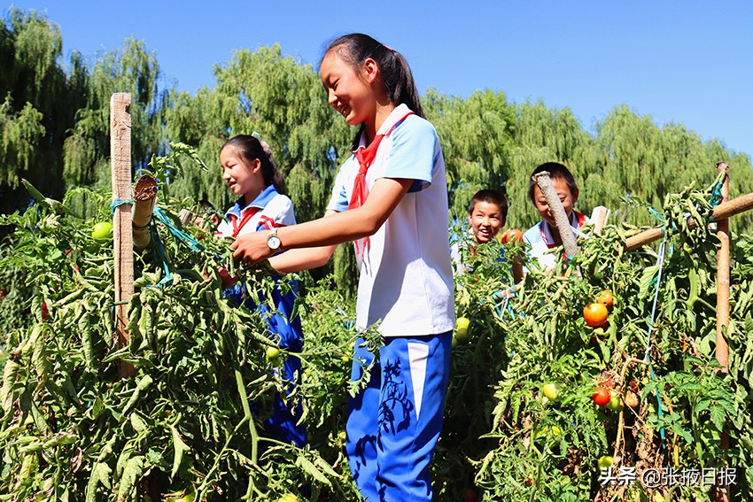 临泽板桥中心小学耕好“责任田”拓展教育新空间