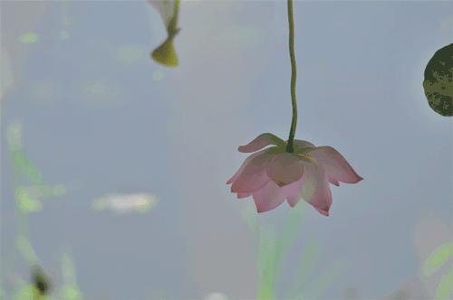 「当代辞赋」孟云水：温泉赋（外三篇）