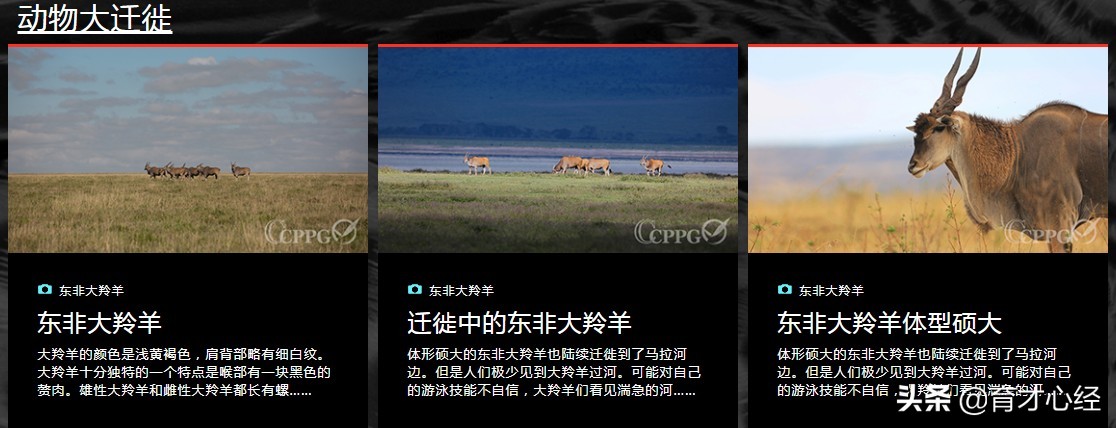 双减政策下孩子们都去哪儿了,双减政策家长必须知道的