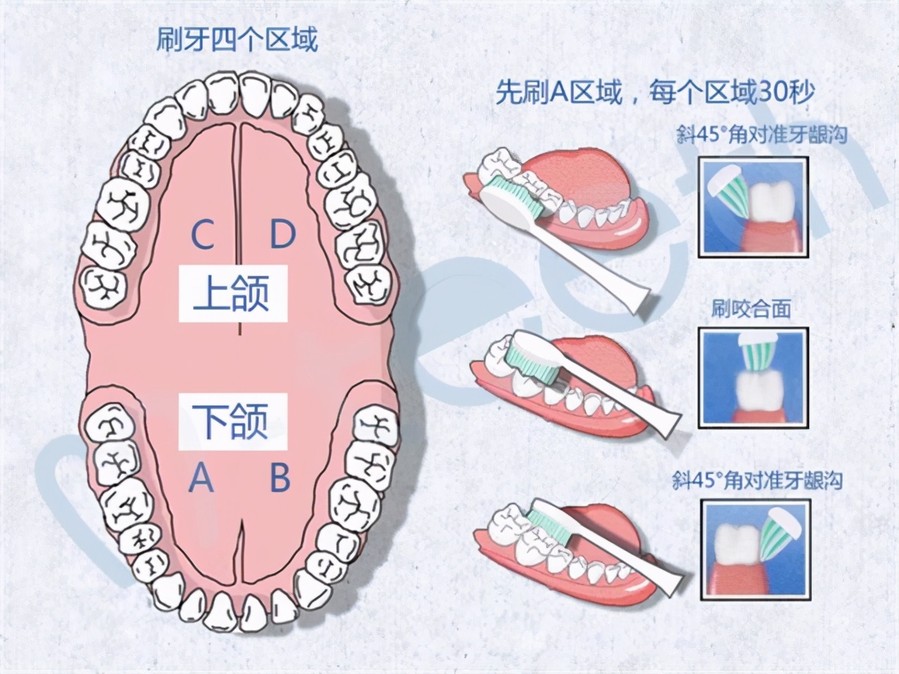 电动牙刷6种模式正确使用方法,电动牙刷的使用方法和步骤
