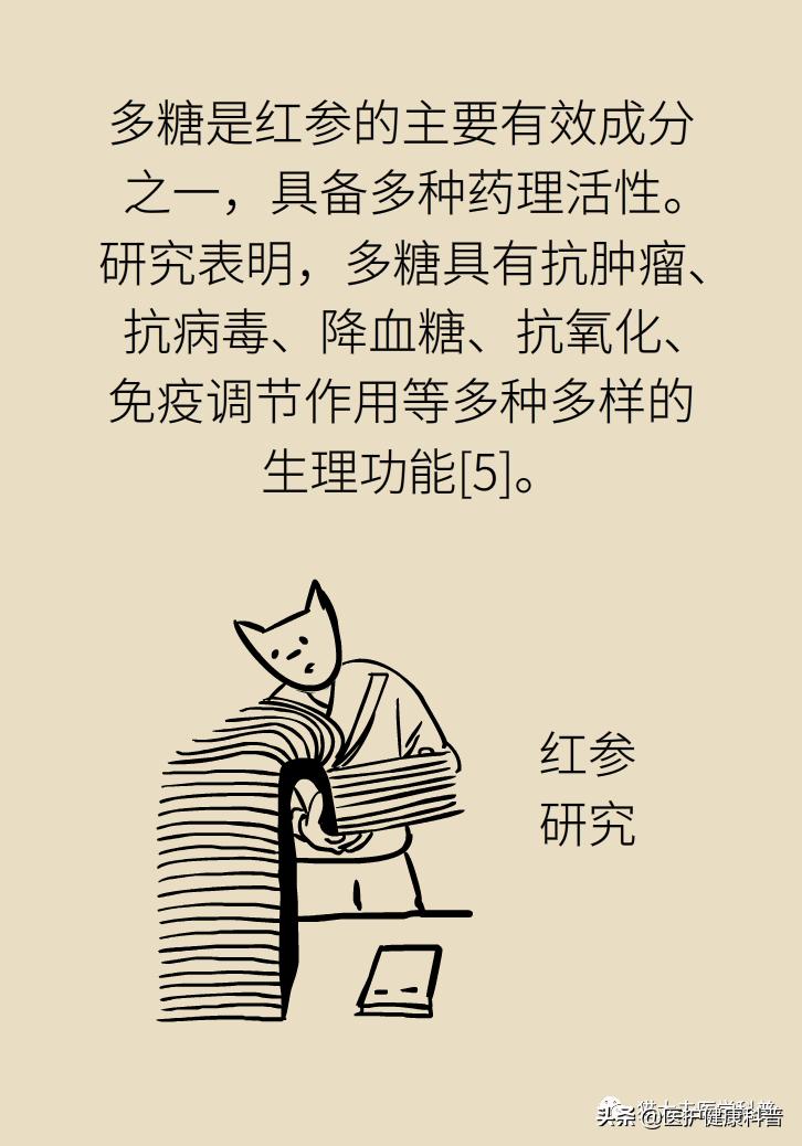 人参红参西洋参哪个提高免疫力好,人参党参红参西洋参有什么区别