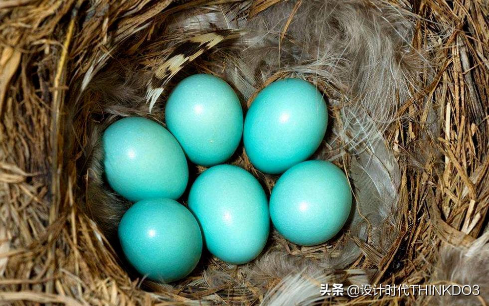 蒂芙尼珠宝旗舰店设计,蒂芙尼定制珠宝四叶草