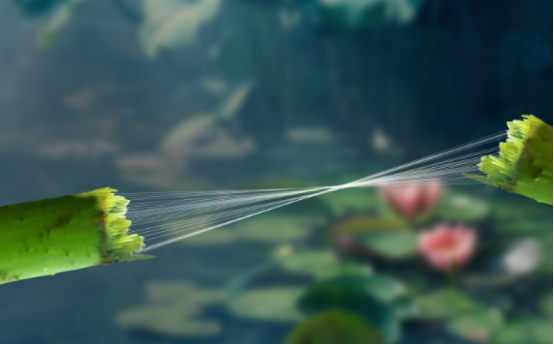 春季可水洗蚕丝被,杭州万事利纯蚕丝被四件套价格