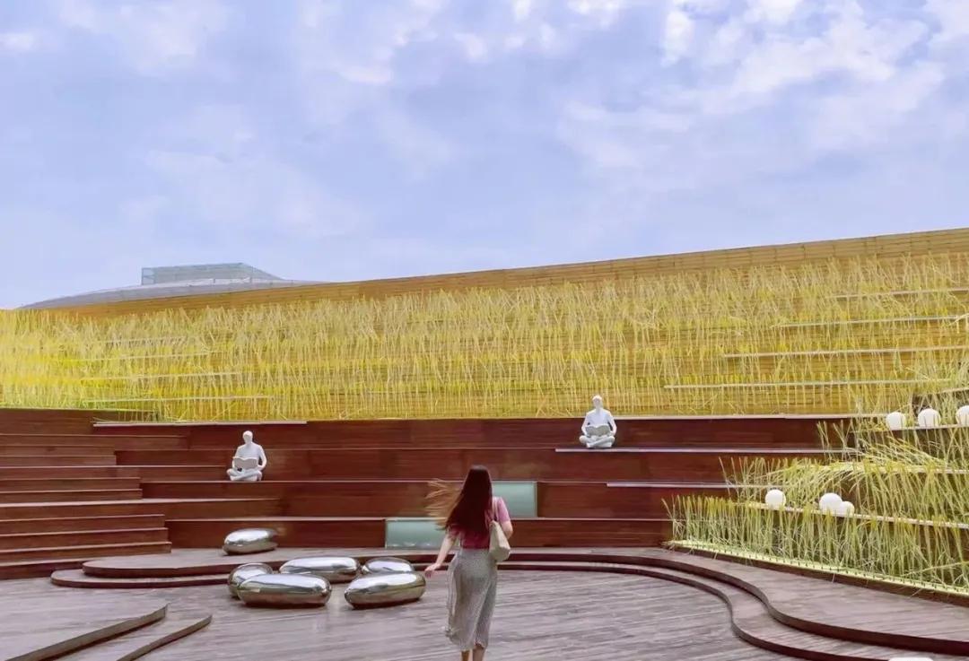 私藏拍照最好的地方,天津适合拍照又安静的地方