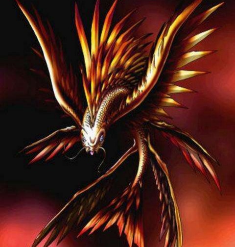 四本爆火的网络小说,四本红极一时完结的小说