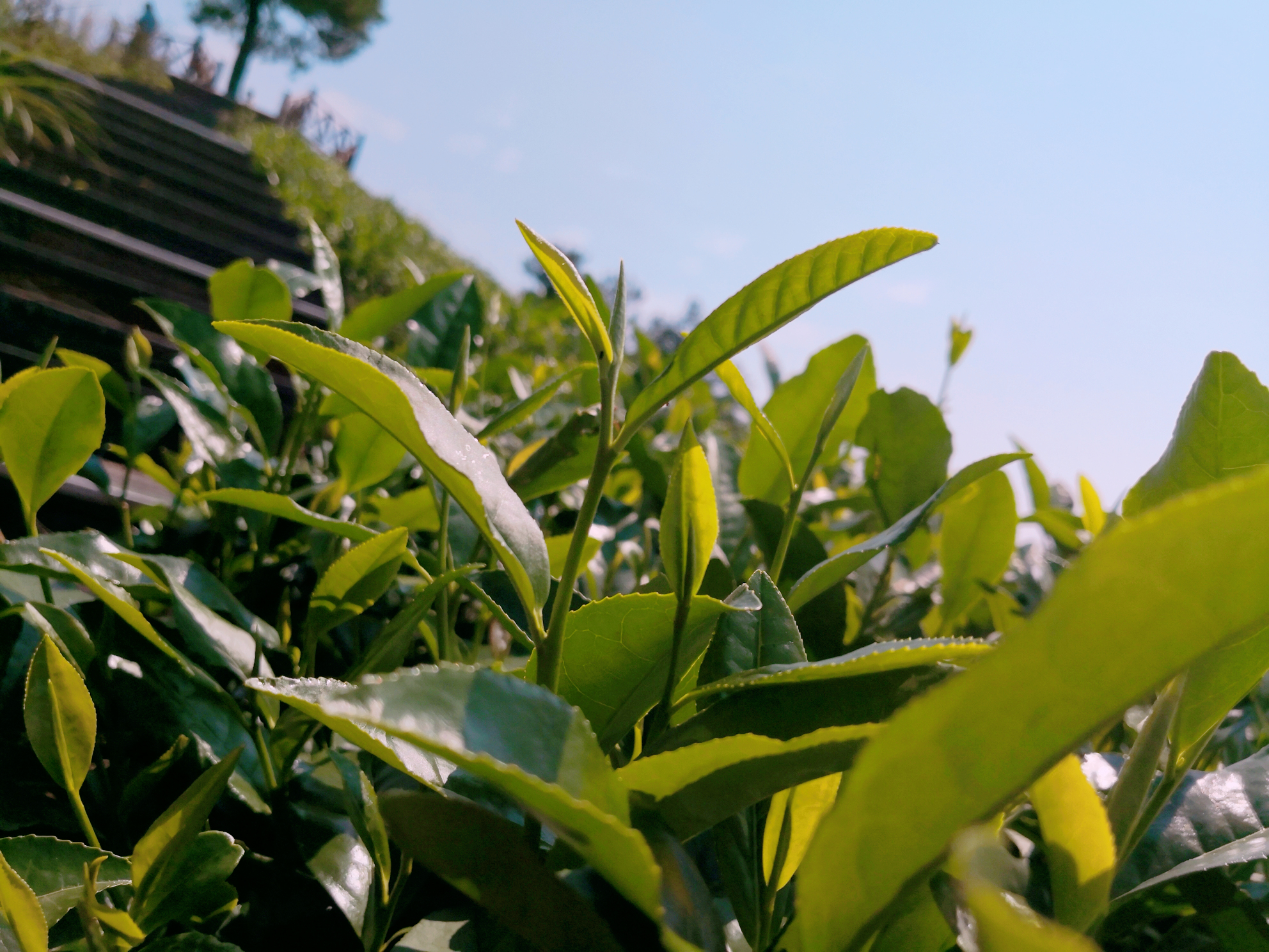 宜居城市信阳气候宜人环境优美,信阳宜居养老哪个位置最好