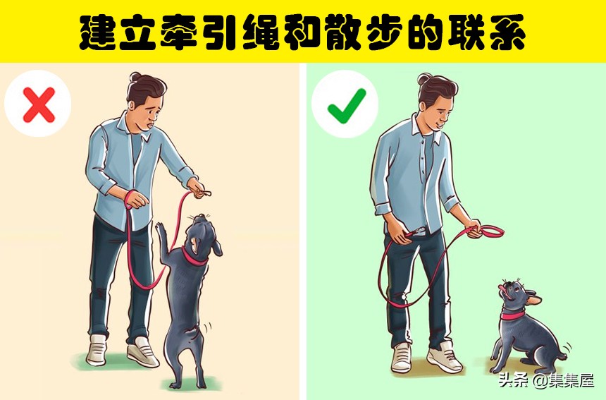 如何引导狗狗适应牵引绳,狗狗牵引绳太大了怎么办