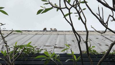 10年红专厂│广州文艺青年的圣地，在一步步远去