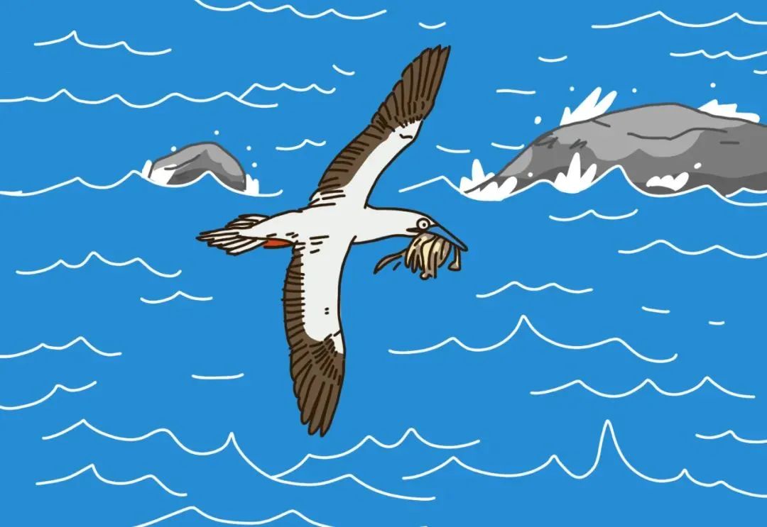 观往知来的含义,一封寄到西沙的信