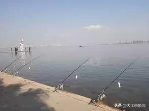 化氏钓鱼绝密配方大全,化氏钓鱼最佳方法