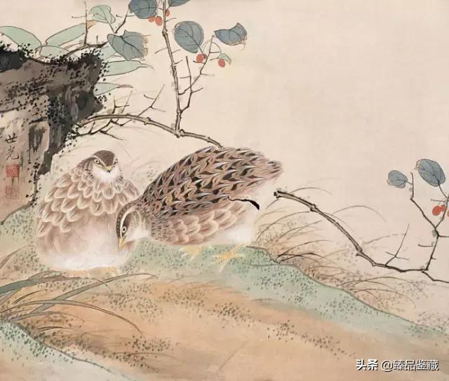 工笔大师田世光,工笔画大师田世光画孔雀好美