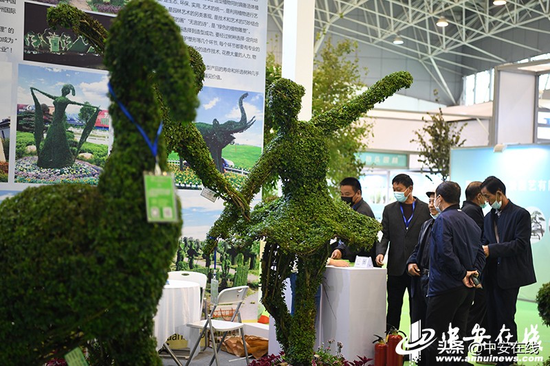 2024年度全国苗木供需分析报告,2024年全国苗木供需分析报告