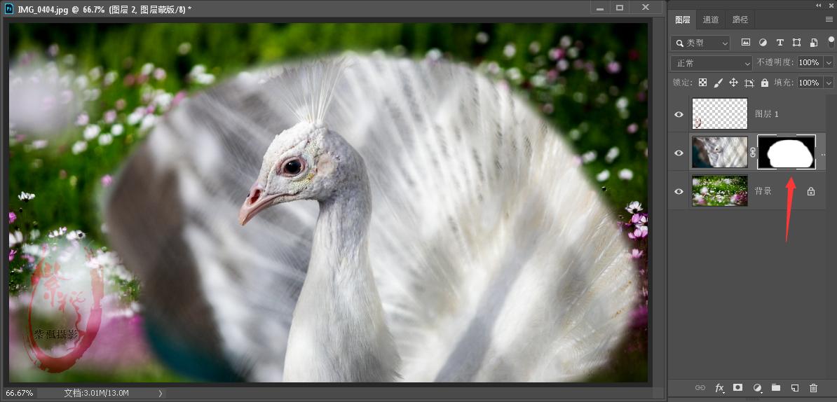 ps零基础抠图蒙版教程,ps蒙版抠图教程详细过程