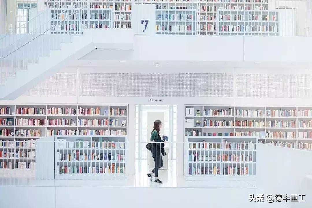 全球美到窒息的白天鹅和山水风景,全世界惊艳的图书馆