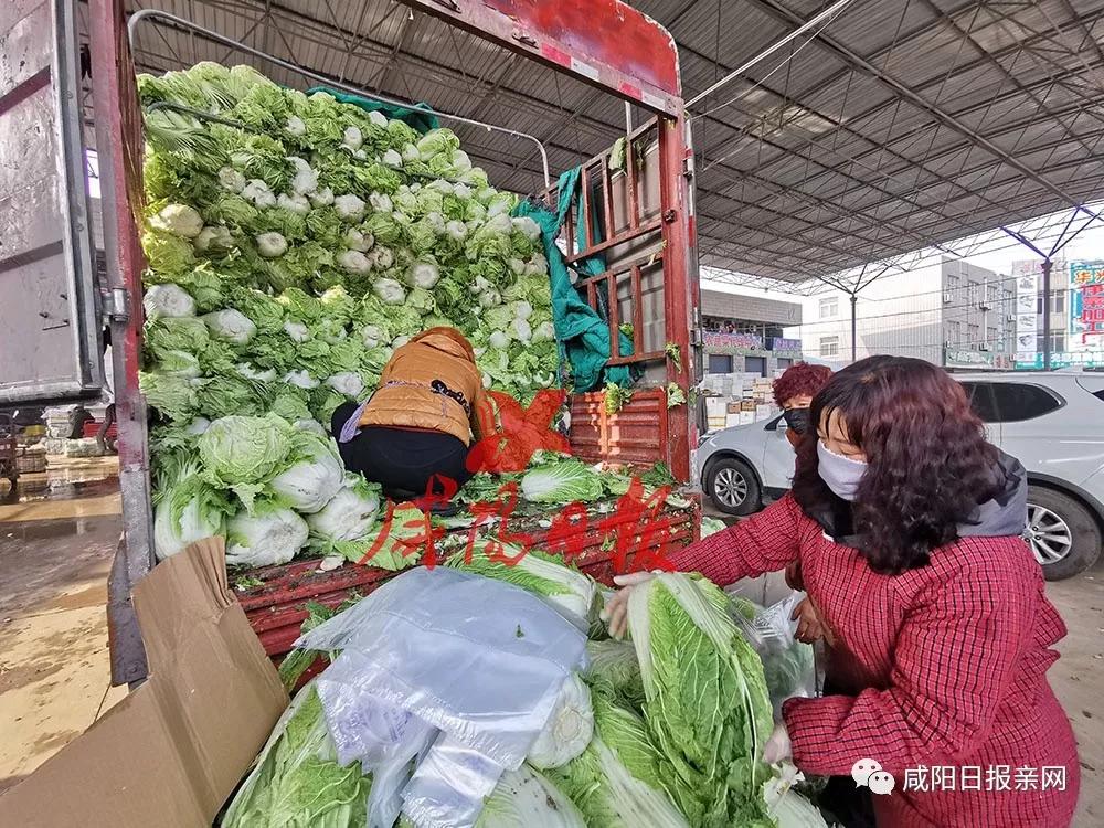 请淡定txt免费,疫情期间咸阳菜篮子