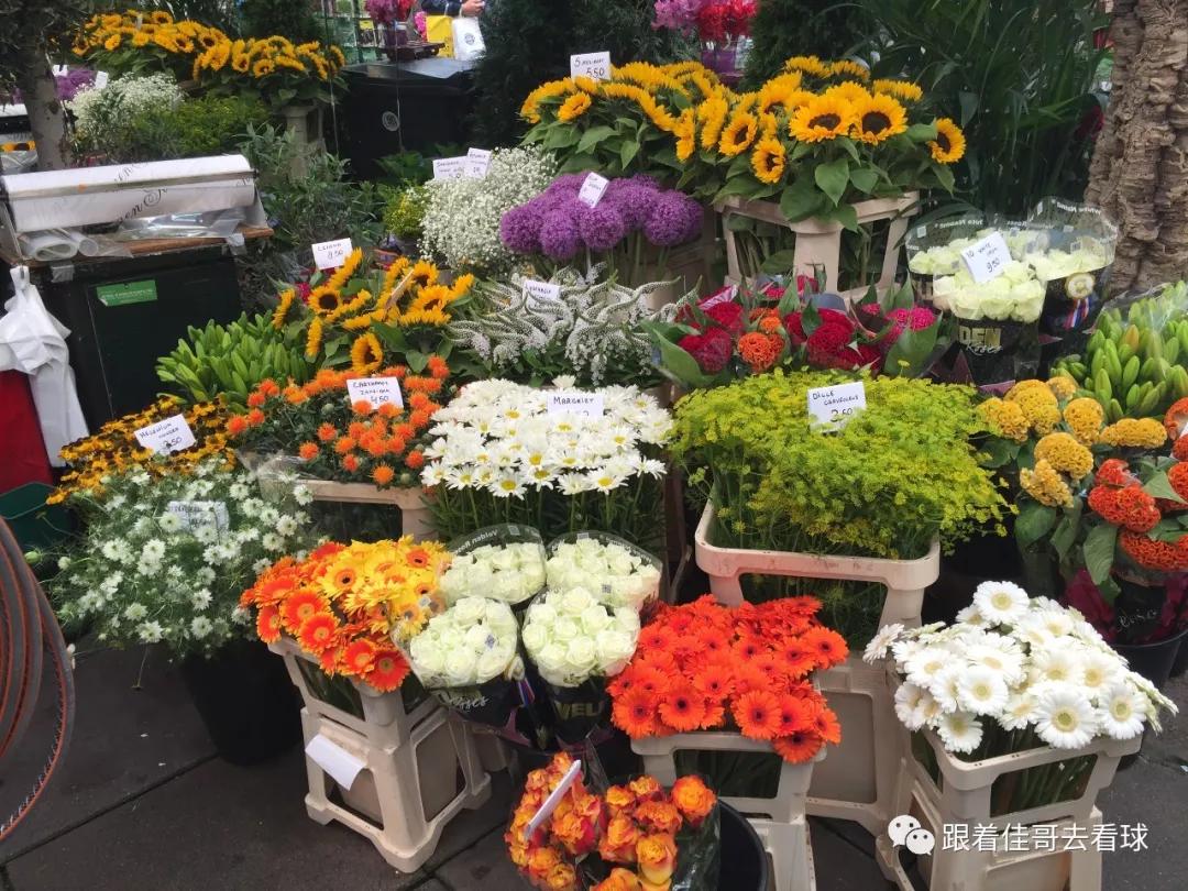 欧洲杯在阿姆斯特丹哪里举办,欧洲杯在阿姆斯特丹哪里举行