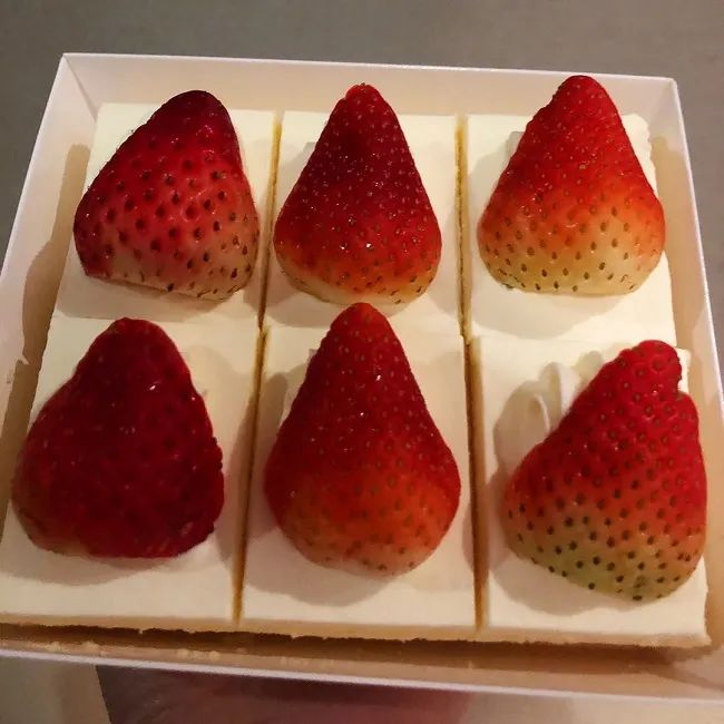 味多美芝士热狗面包碳水,半熟芝士味多美测评