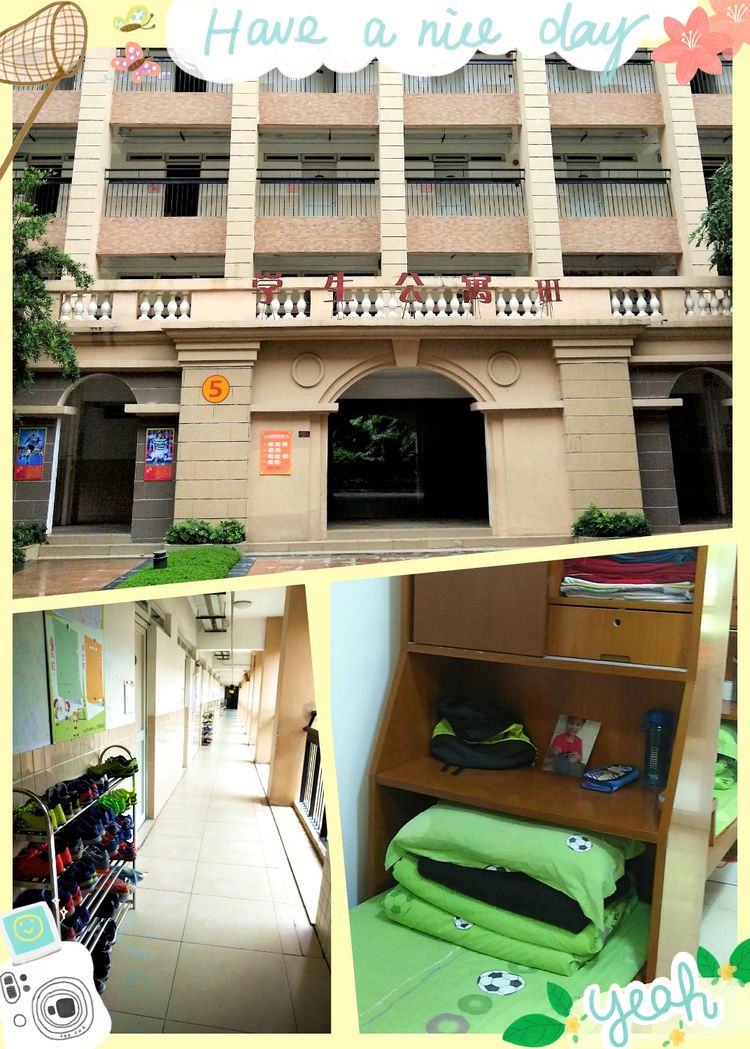 广州恒大足球俱乐部夏令营,恒大足校夏令营