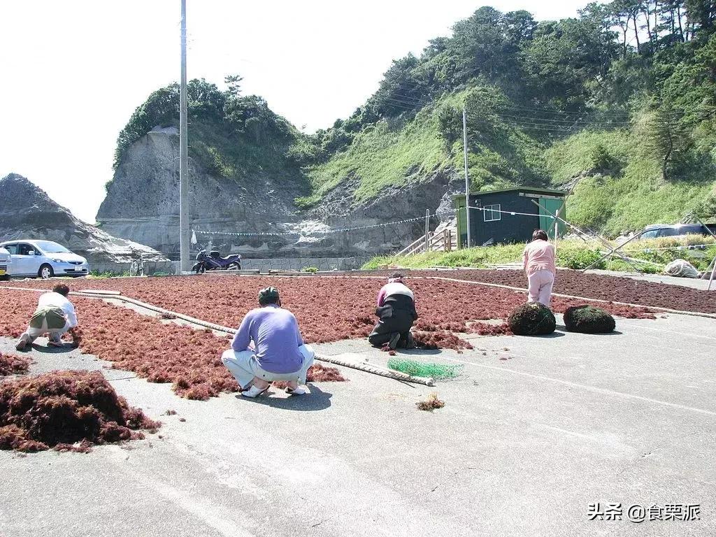高温天气只有晚上外面凉快,高温天气凉快点