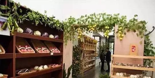 休闲农业模式怎么选好点,休闲农业的100种盈利模式