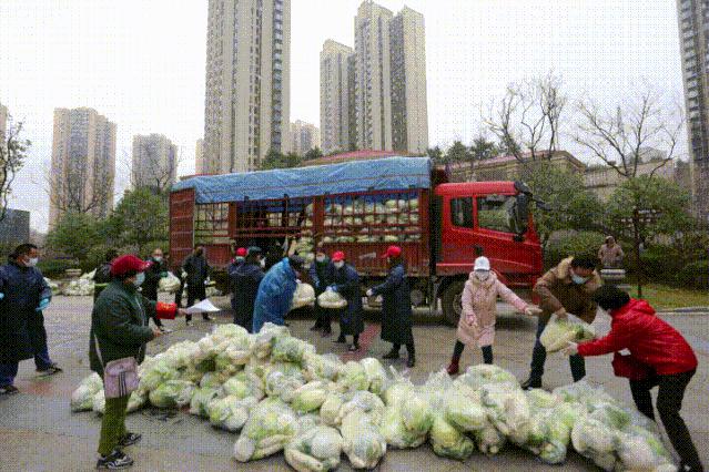 宜昌猇亭志愿者,宜昌江边志愿者