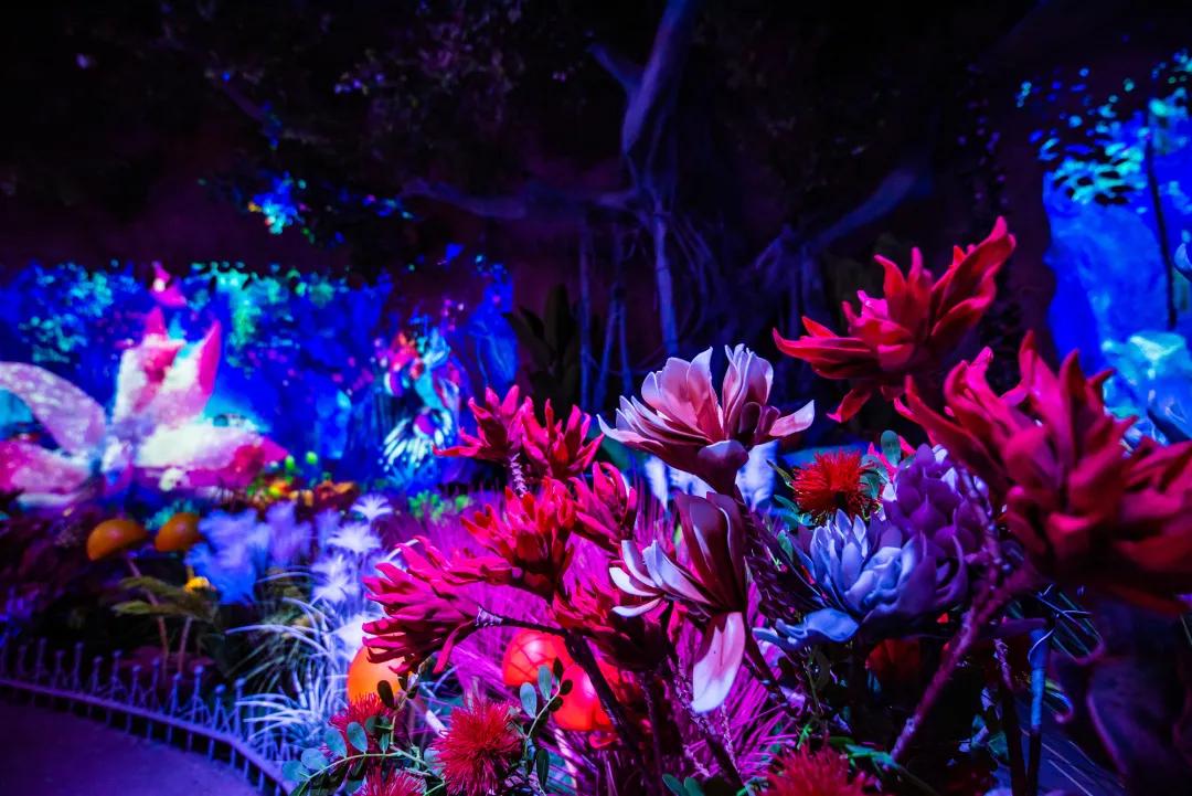 淄博国庆节放假安排,淄博十一月份有什么活动