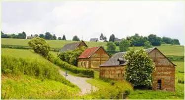 新型农庄发展趋势,特色农庄发展问题