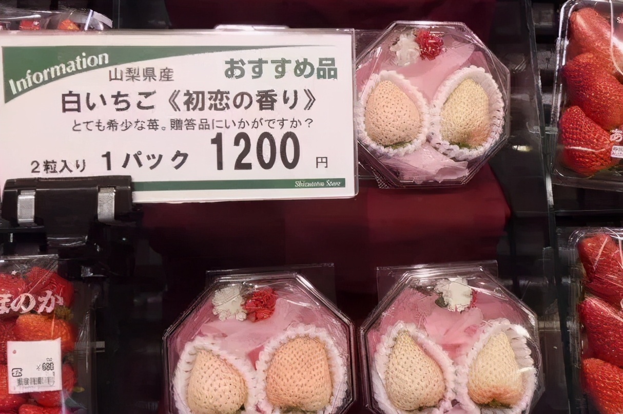 800元一斤的草莓,一斤草莓9.9